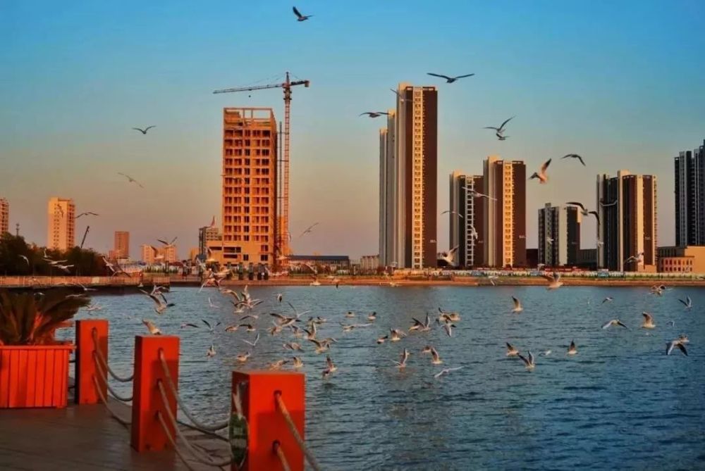 沧州渤海新区贝壳湖景区奏响"蓝白"乐章