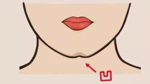 美人沟是下巴上的一条浅浅的线,现在流行锥子型下巴 其实"w"型下巴才