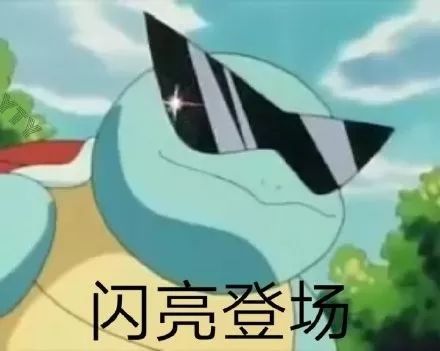全网最全杰尼龟表情包(一)