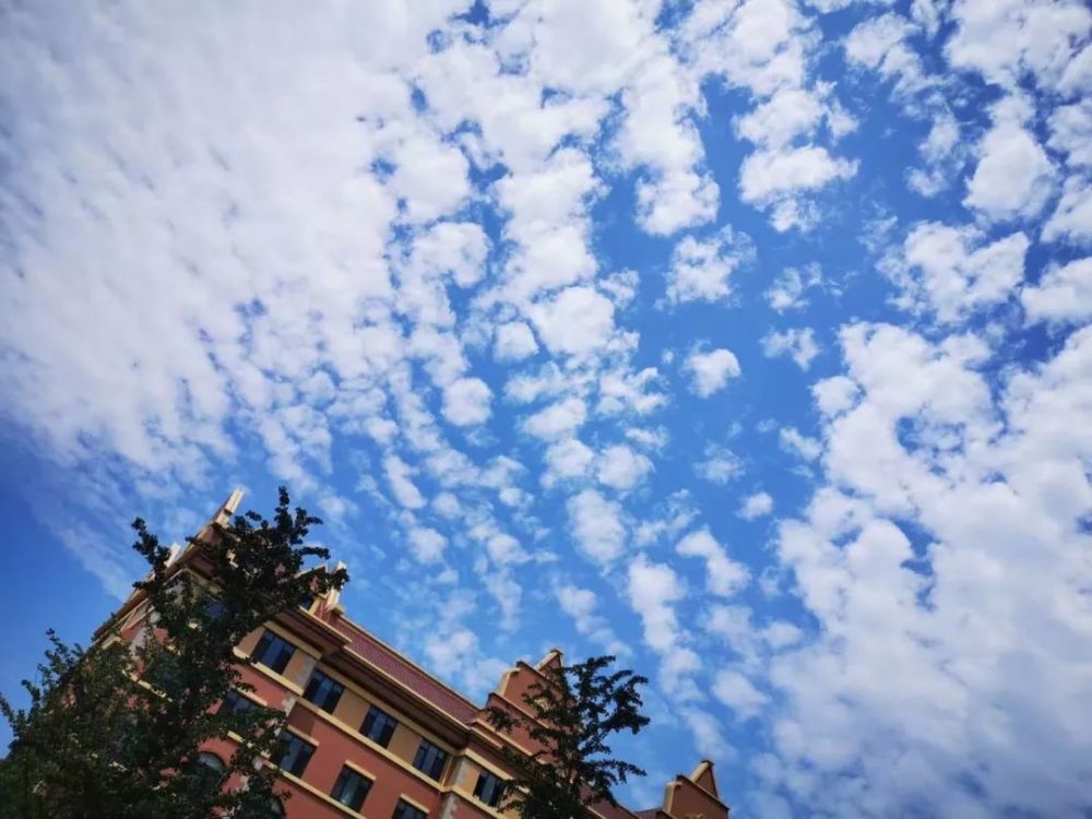 渤海大学