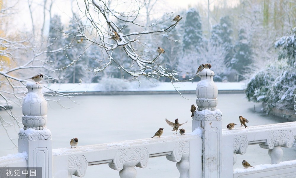 北京迎2019入冬初雪 城区飘起雪花