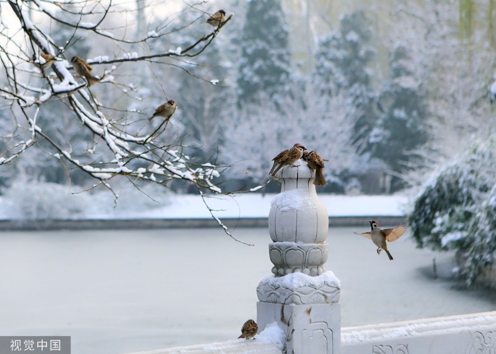 北京迎2019入冬初雪 城区飘起雪花