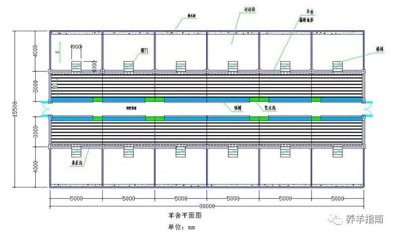 羊舍,运动场,养殖户