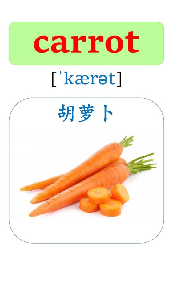 英语看图卡片第1集,常用的蔬菜类的英语单词,儿童英语