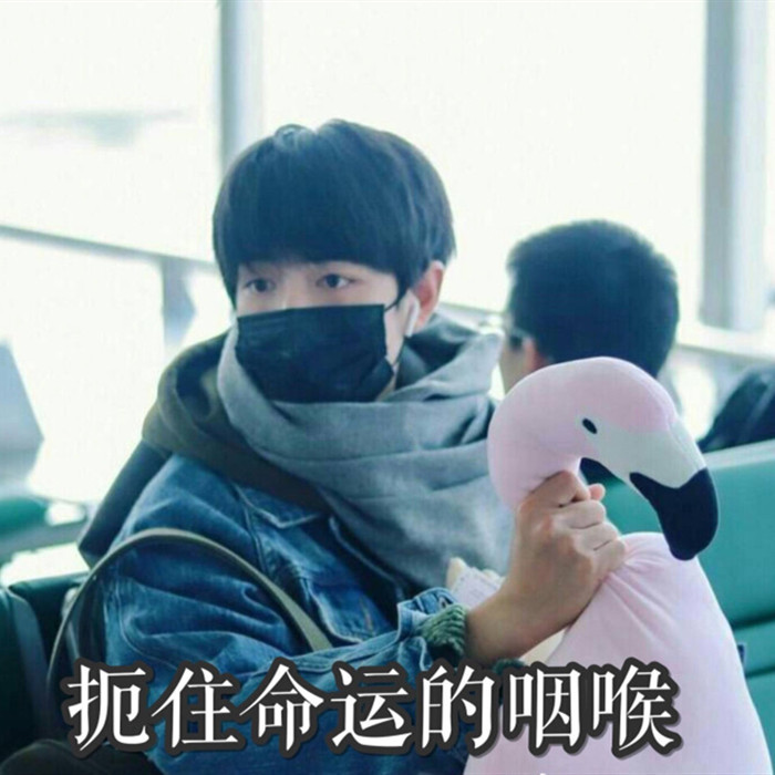 肖战表情包:新粉眼中的帅气小可爱,老粉眼中的乖巧皮皮战