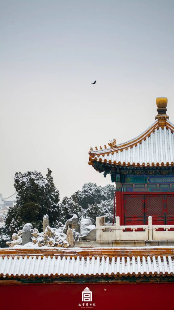 冬月的初雪,有了紫禁城才够美!
