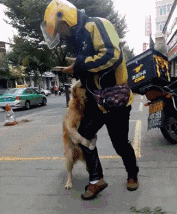 搞笑gif:哥们,你都多大个人了,咋还坐超市推车里呢?