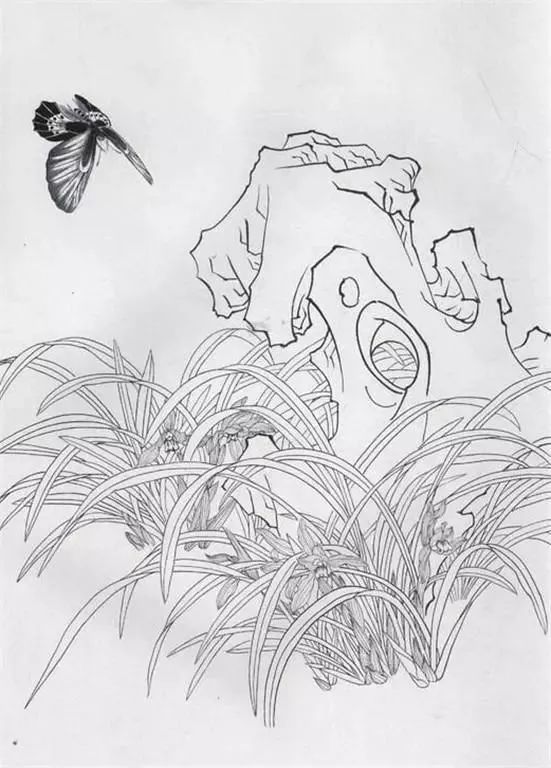 名家白描花鸟之蝴蝶篇