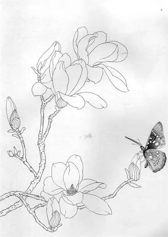 名家白描花鸟之蝴蝶篇