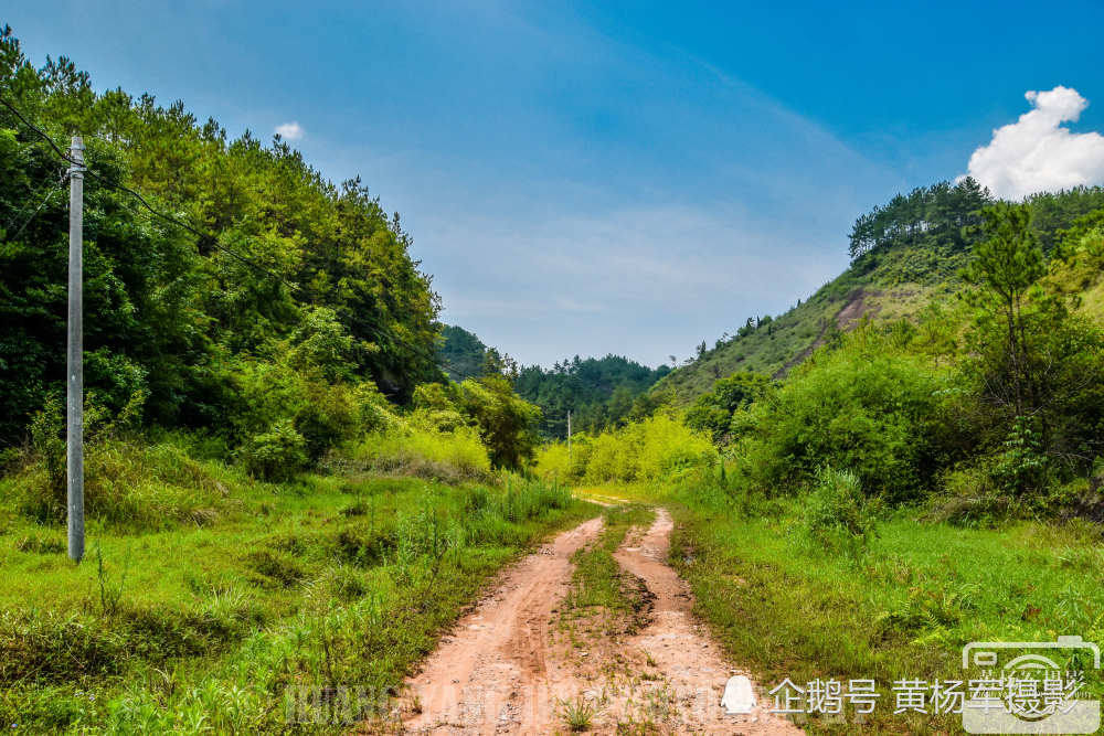 茂密的丛林蜿蜒的山路成了天地间最自然的美景.