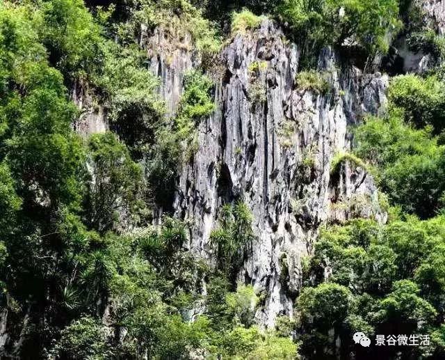 景谷十大旅游景区!