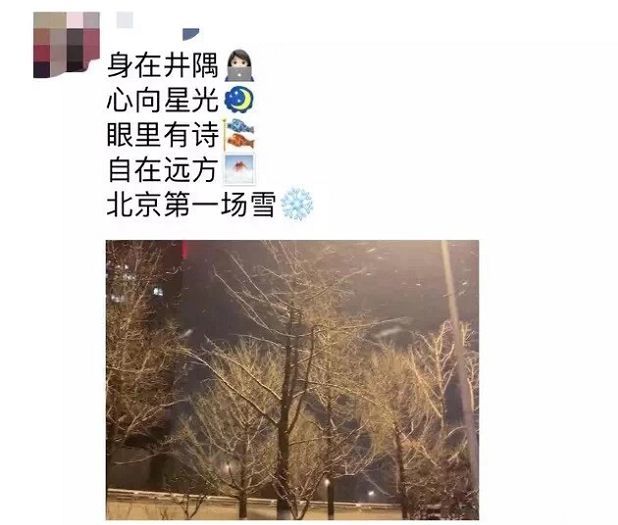 风雪夜归人 万物皆有灵 雪对小动物们来说 也是礼物 如果事与愿违 不