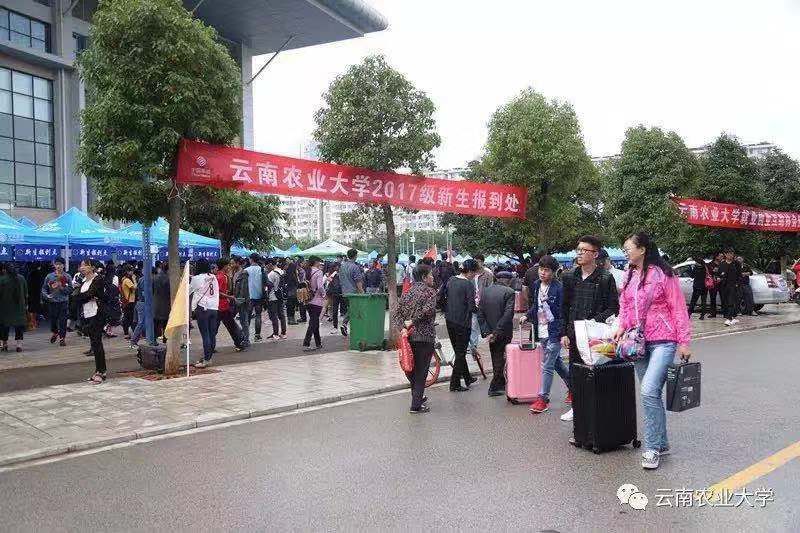 云农,云小农,云南农业大学,食堂,考研
