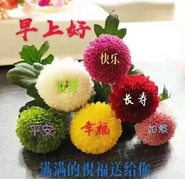 冬天早晨朋友圈最暖心的寒冬祝福语 最新冬天早上好问候图片