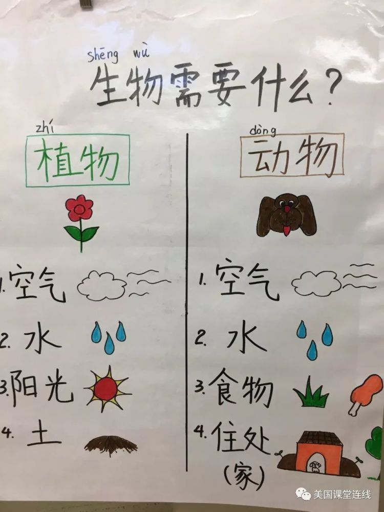 中文沉浸课堂锚图/教学海报分享