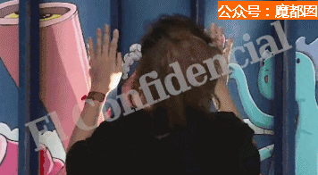 356_196gif 动态图 动图