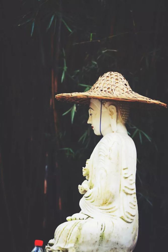 悟公上人:佛法中戒为首领,是一切成就之共法