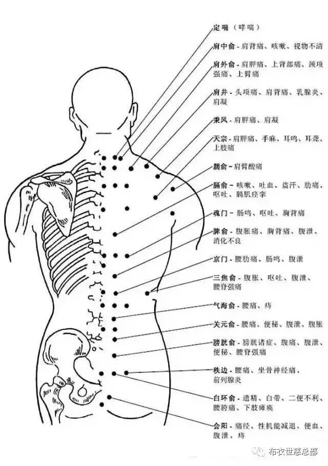 冲门穴的作用:治疗腹胀痛,尿闭人体背部穴位图及作用功效