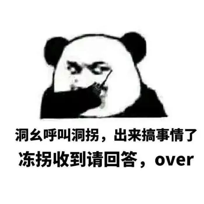 表情包:洞幺你mmp,情报有误我已经被抓了over