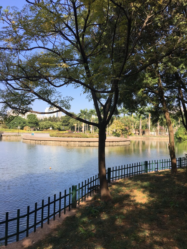 福州,温泉公园,风景,美景,冬日暖阳