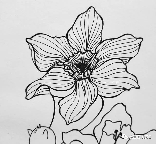 中性笔,铅笔画,构图