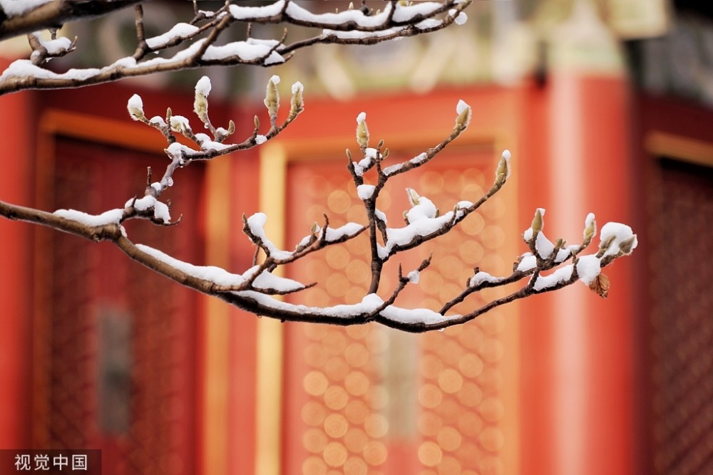 北京迎来入冬初雪 雪后故宫美如画