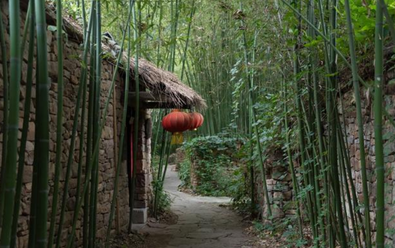 山东最美的古村之一,家家户户生活在竹林中,如世外桃源