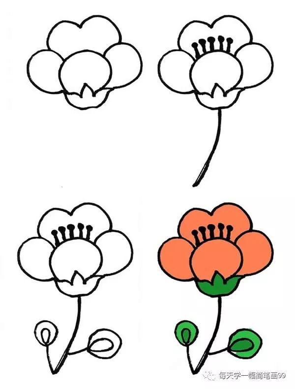 每天学一幅简笔画-一大波漂亮的花朵简笔画画法步骤