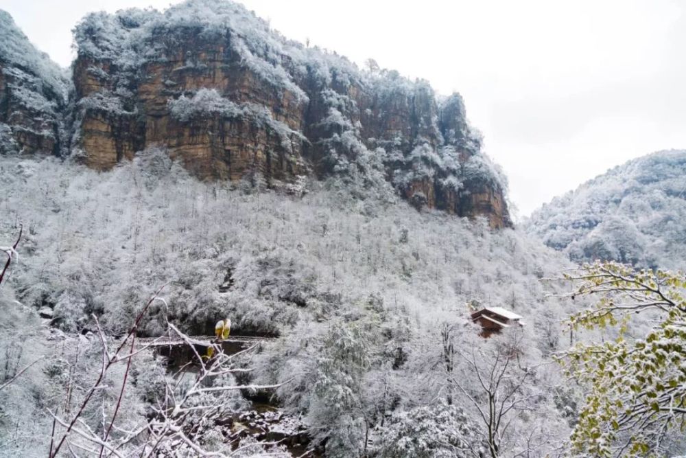 雪后的昭通彝良小草坝,美成仙境!