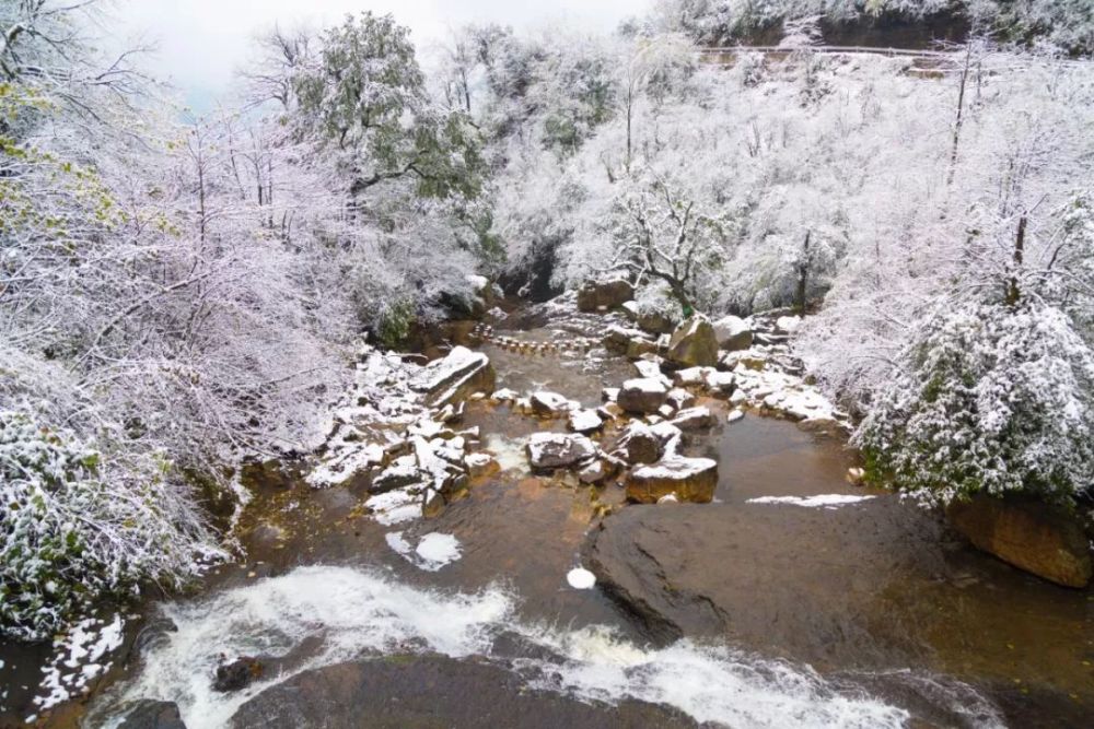 雪后的昭通彝良小草坝,美成仙境!