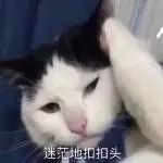 小表情包;我不听