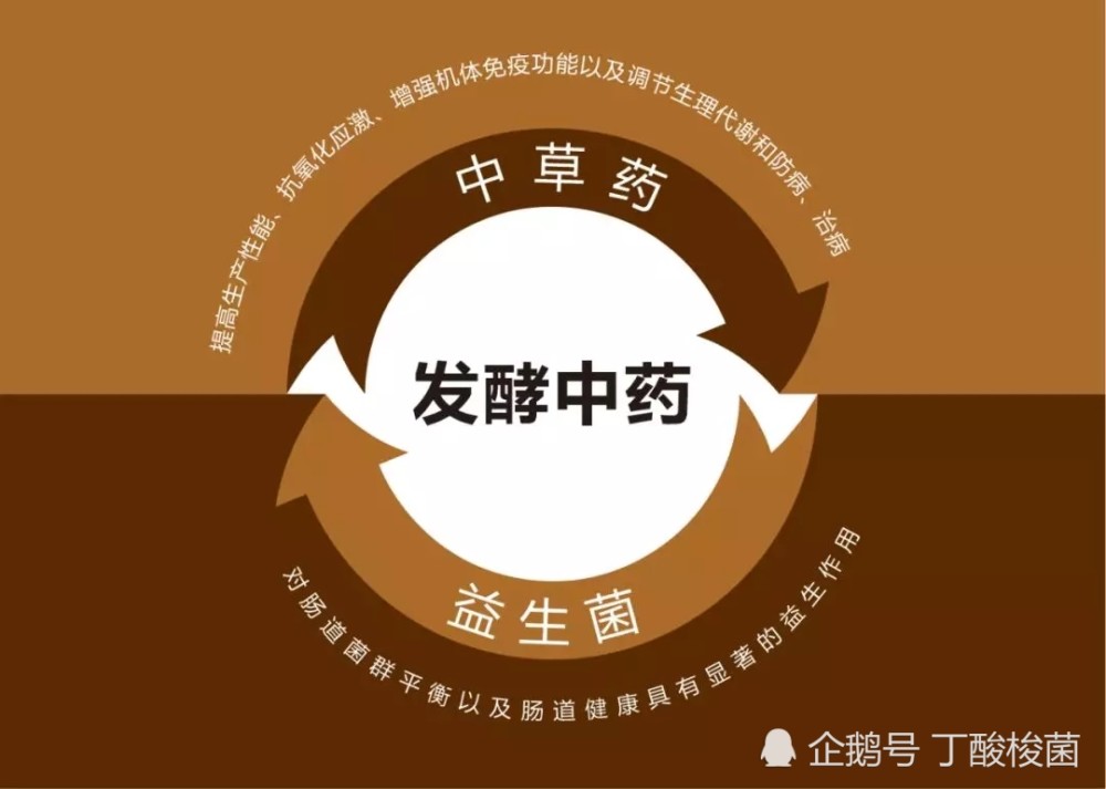 发酵中药的特点及其在动物生产中的应用研究