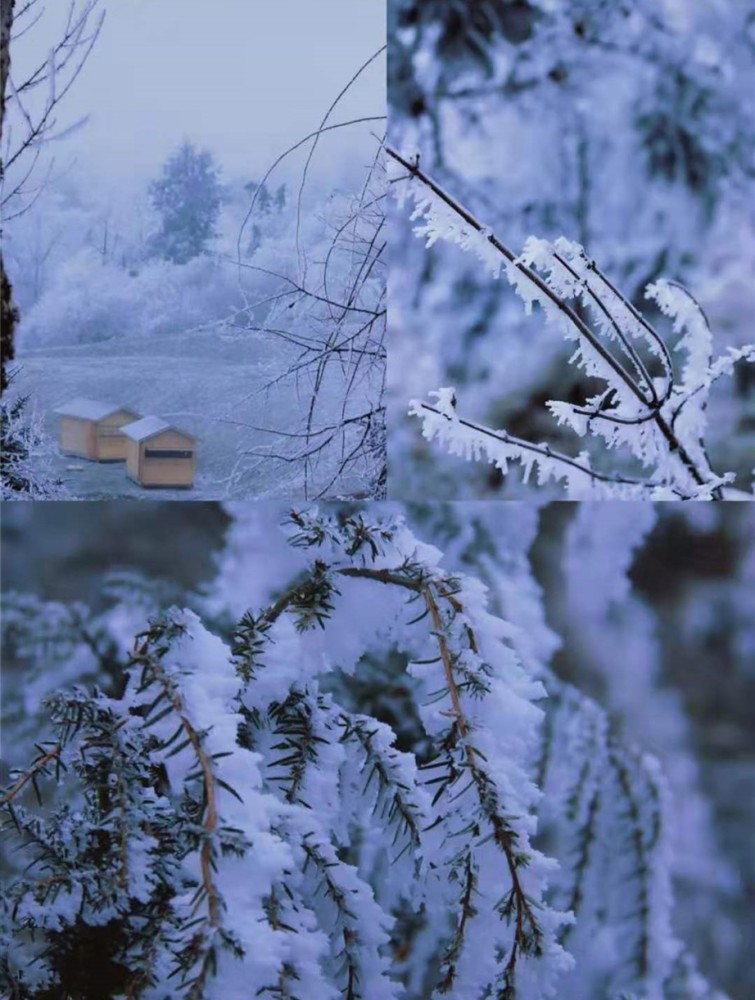 男神,冬天,雪景,下雪文案,雪景文案