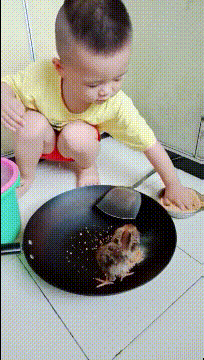 搞笑gif,内涵段子