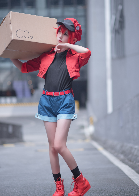 cosplay《工作细胞》红血球,努力工作的娇俏少女