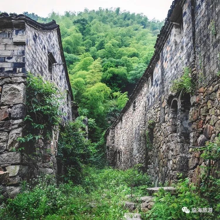 临海,村落,村庄,古道,呈岐村,古村