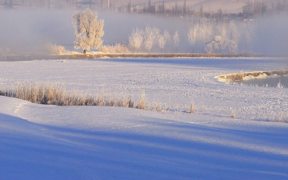 漠河唯美雪景壁纸,冰天雪地,美妙绝伦