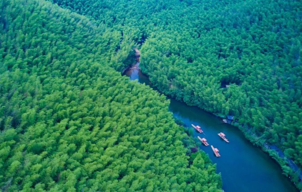 溧阳,南山竹海,1号公路