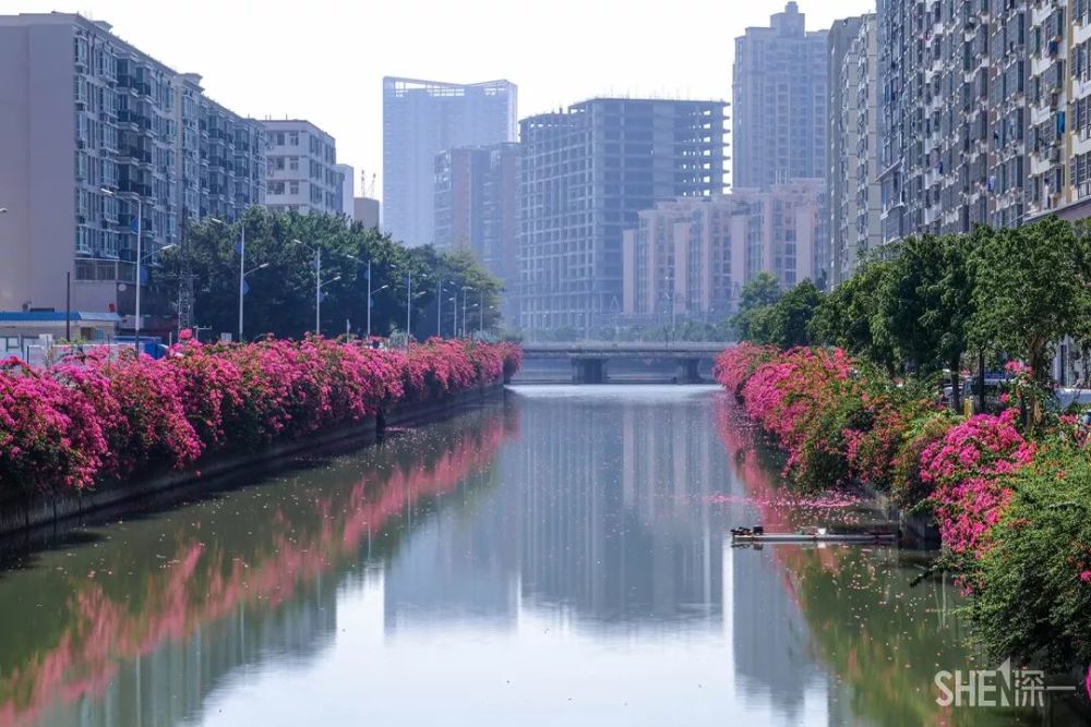 西乡河,西乡,深圳,大铲湾