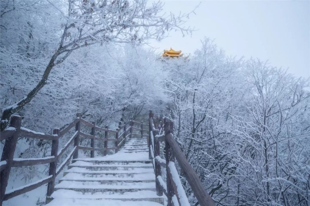 既然你们这么"贫雪" 那我就为大家献上一组老君山的最新雪景图吧 先