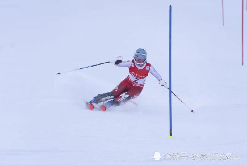 2019-2020中国银行一带一路国际滑雪系列赛—高山滑雪