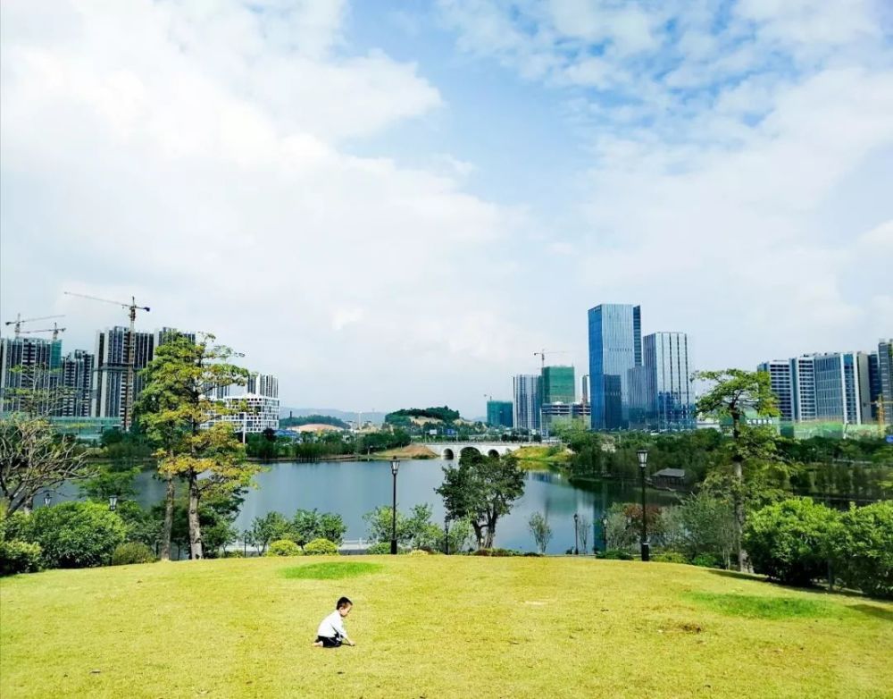 知识城,凤凰湖,海绵