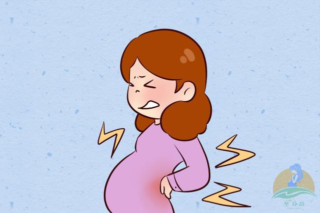 妊娠,孕期,心脏,幸运,新生命,孕中期,腰椎,胎盘