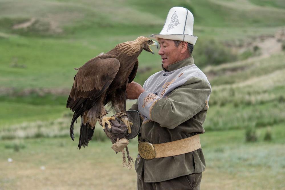 中国的邻居用老鹰搞旅游创收,有的人靠一只鹰就能养活全家!