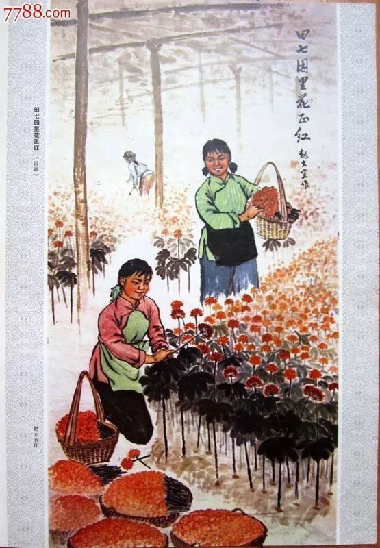 农民画,壮族,画家,赵大宜,田七园里花正红,绘画艺术