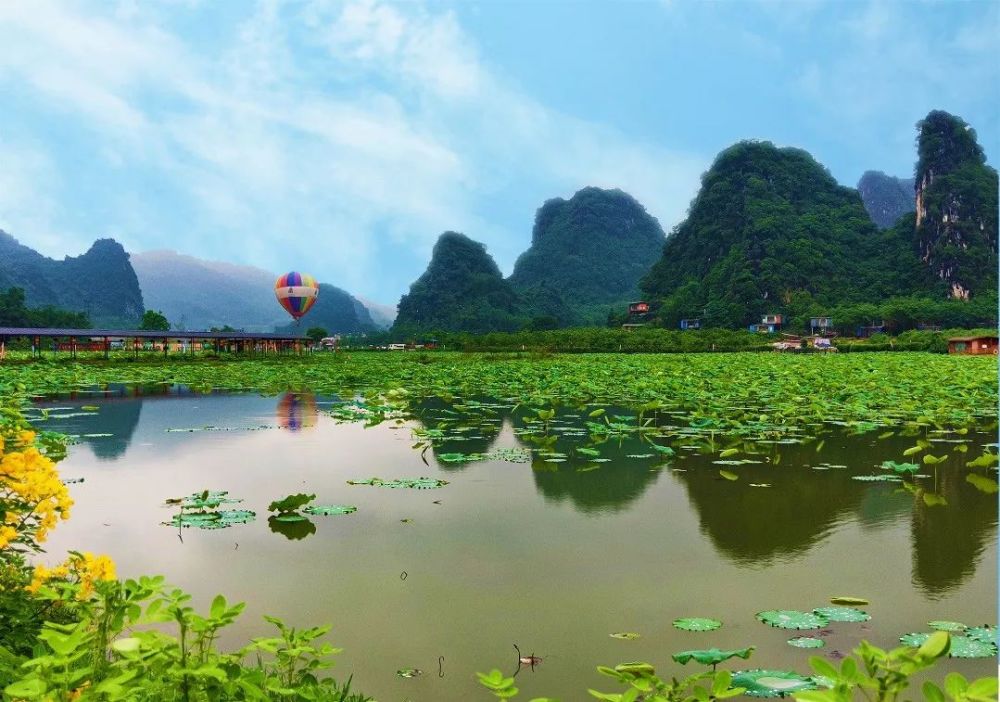 英西峰林,格桑花,九龙峰林小镇