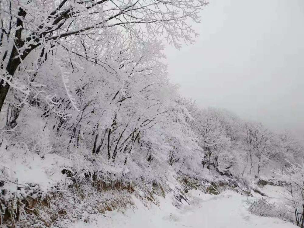 在陕南欣赏"北国风光"—安康"擂鼓台"冰雪胜景