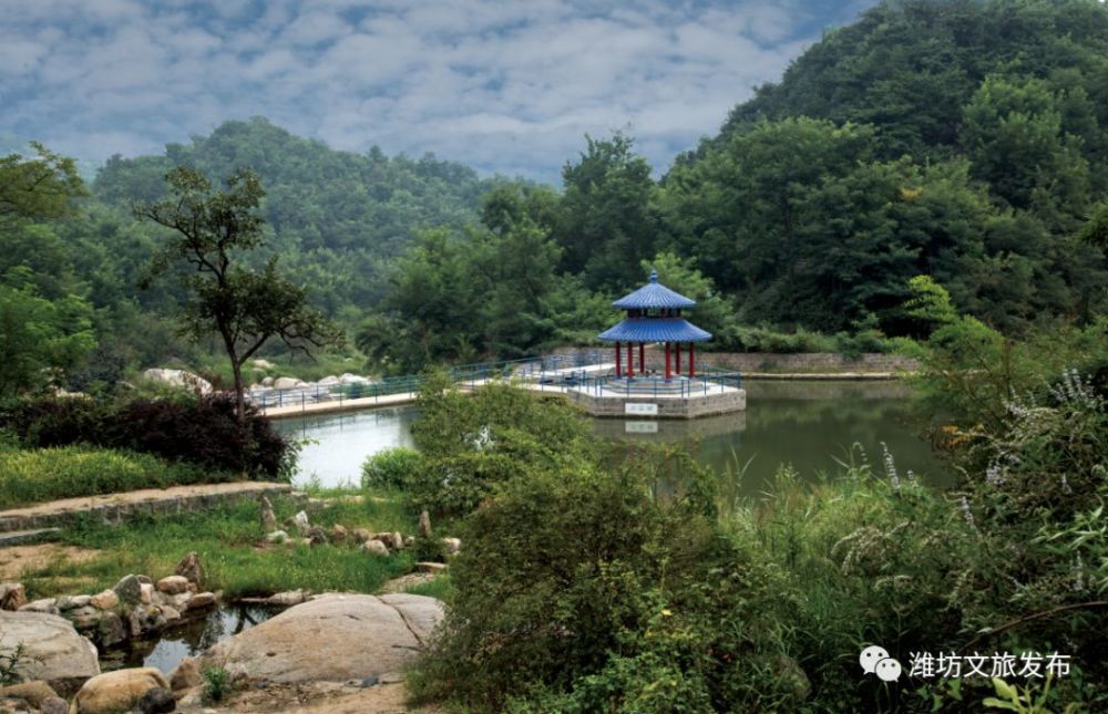 临朐黑松林景区