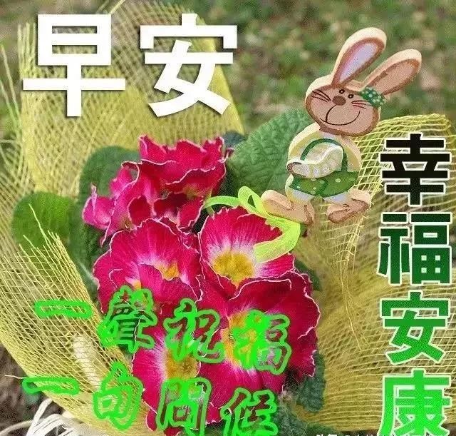 周二清晨大家早上好新版祝福漂亮图片带字 清晨早上好