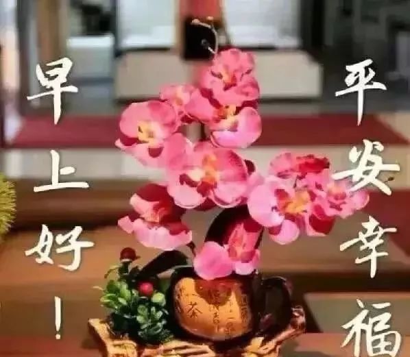 12月3日早上好问候大家最棒的祝福语录 早上好温馨祝福句子送给大家